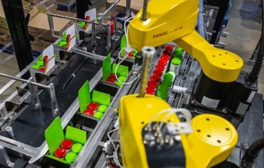 Packaging machinery closing boxes of supplement bottles on a production line
