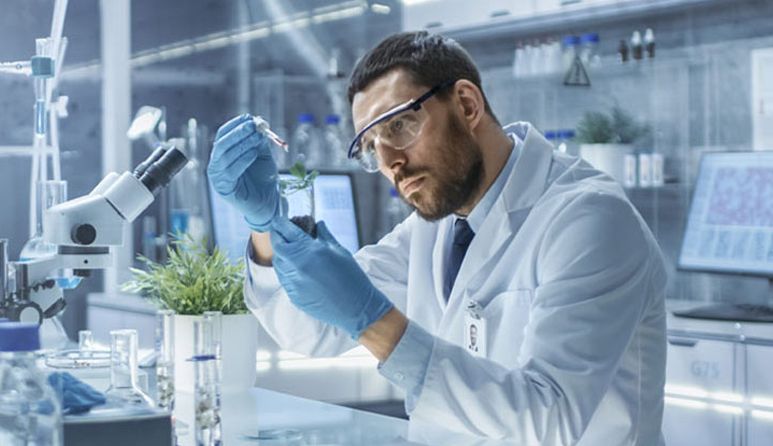 A scientist in a lab examining plants in a test tube